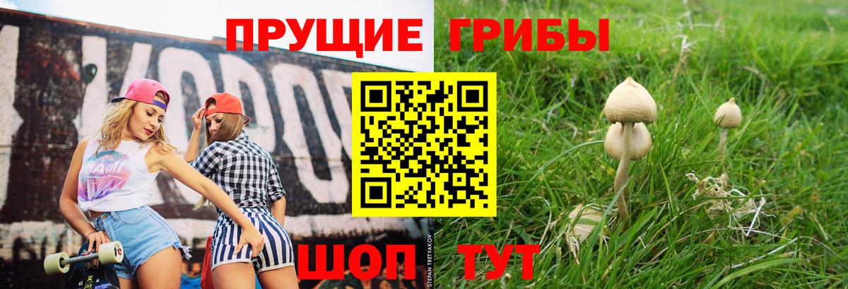 Галлюциногенные грибы GOLDEN TEACHER Ирбит
