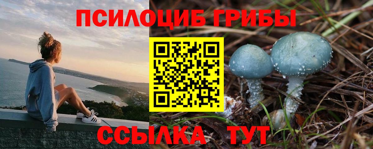 Ирбит  Псилоцибиновые грибы Cubensis  Галлюциногенные грибы MAGIC MUSHROOMS  Вход с VPN 